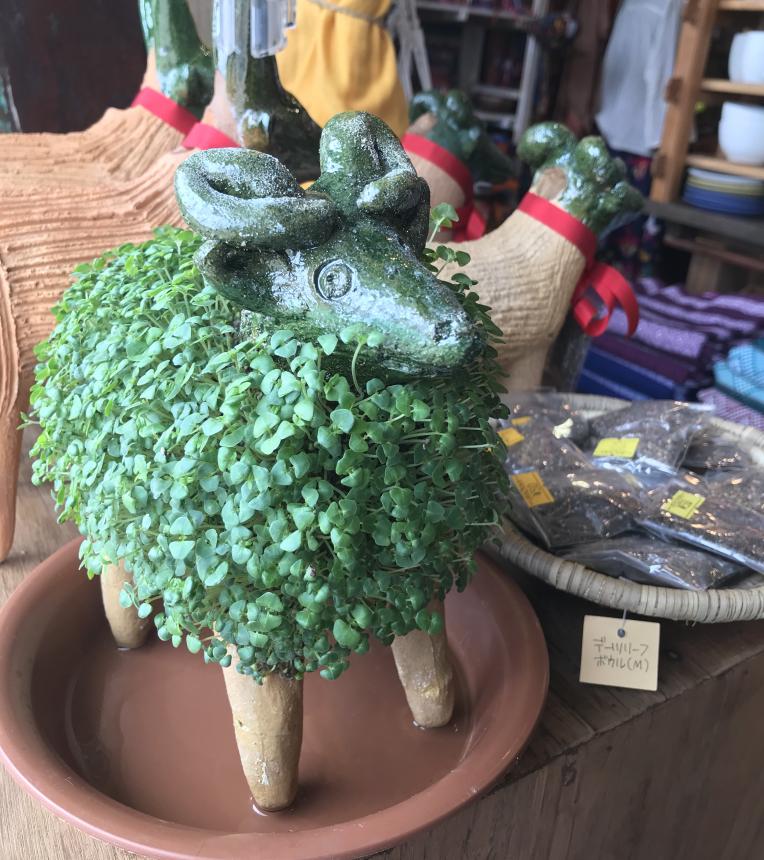 モコヤギの季節