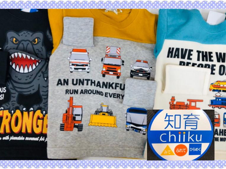 斬新　　　知育トレーナー