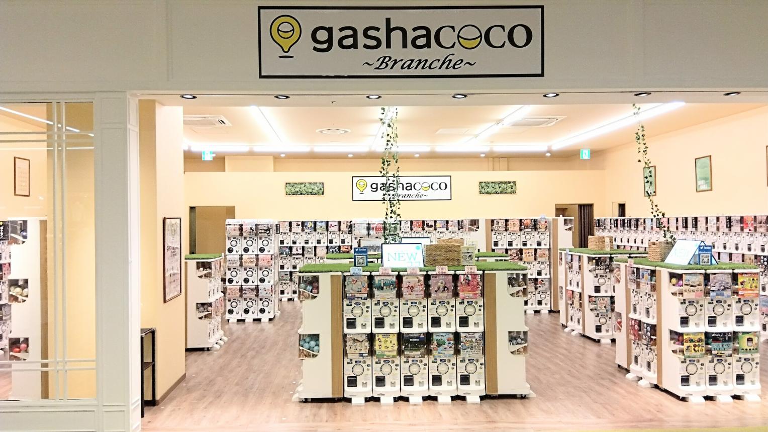 3/31オープン　gashacoco Branche(ガシャココ ブランシュ）