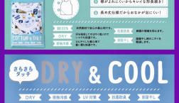 どちらを選びますか？