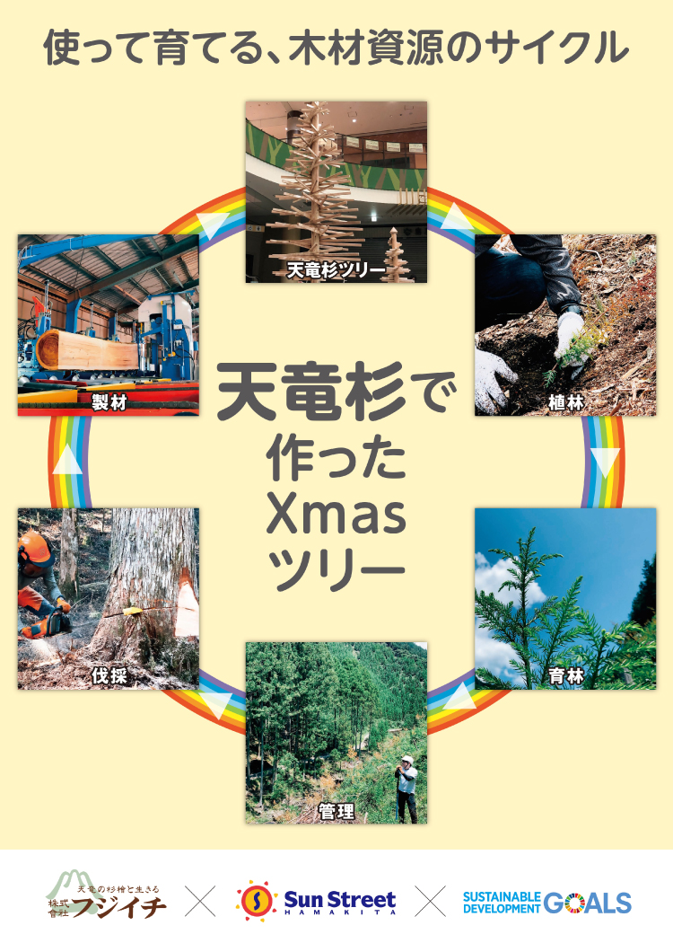 天竜杉で作ったxmasツリー